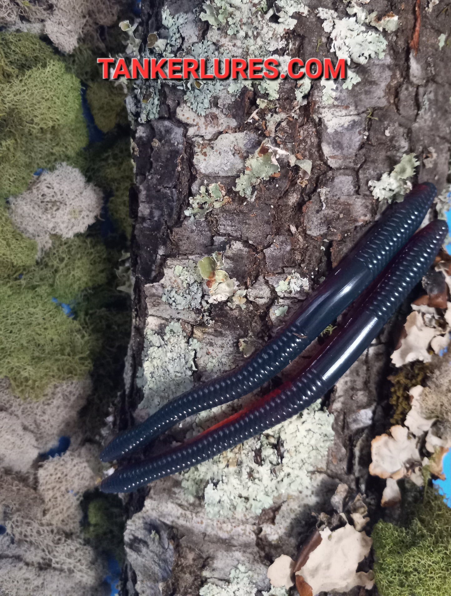 6 1/2 INCH MOTOR OIL MIDMAG